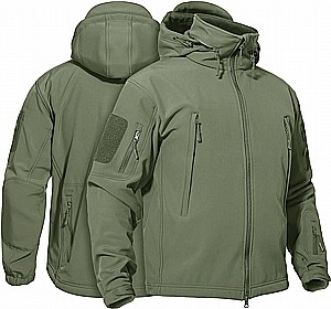 ���� ������ ���� ���� 