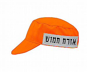 ���� ����� ���� ���� 