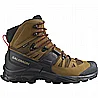 ������ ������ - ���� ����  QUEST 4 GORE-TEX GTX SALOMON 