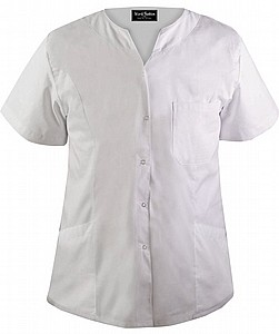 ������ ����� ����