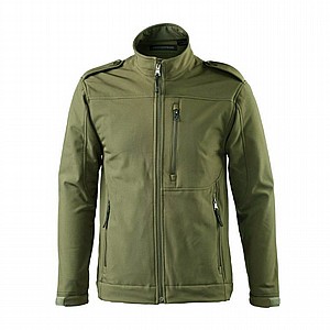 ������ ����